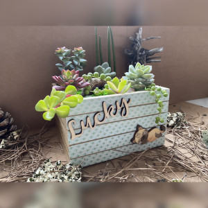 Caja Lucky