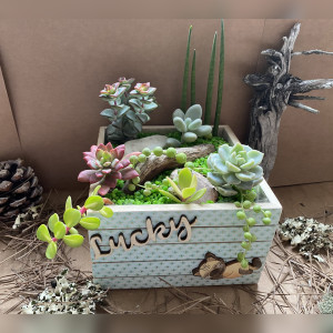 Caja Lucky