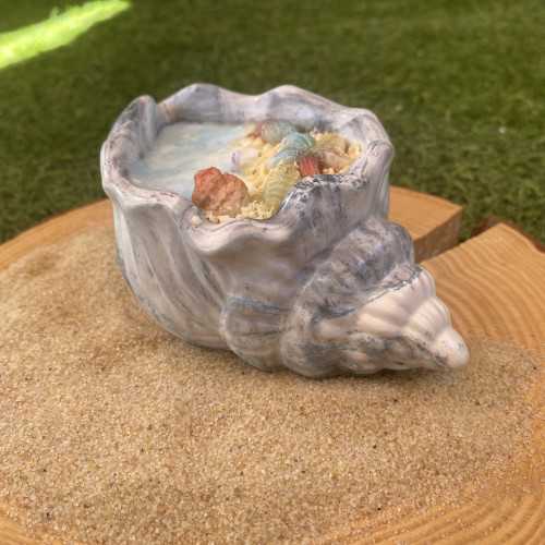 Concha Aloha 1
