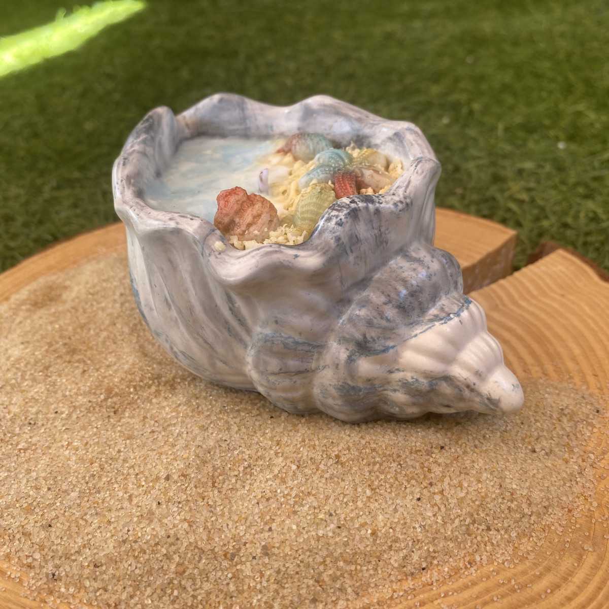 Concha Aloha 1