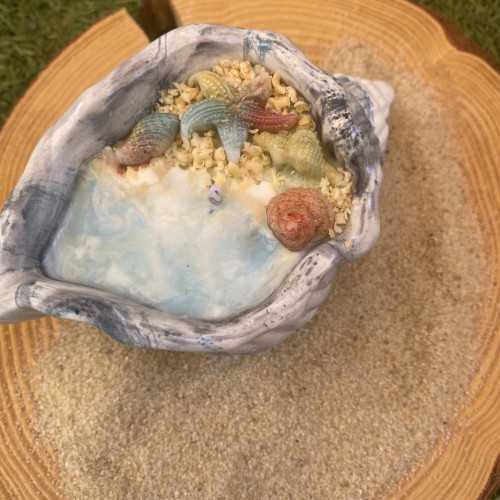 Concha Aloha 1