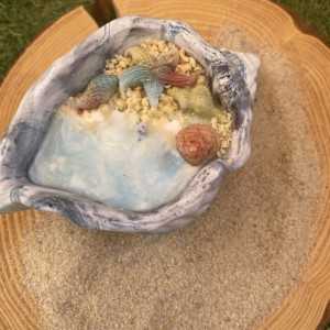 Concha Aloha 1