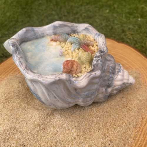Concha Aloha 1