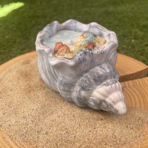 Concha Aloha 1