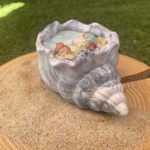 Concha Aloha 1