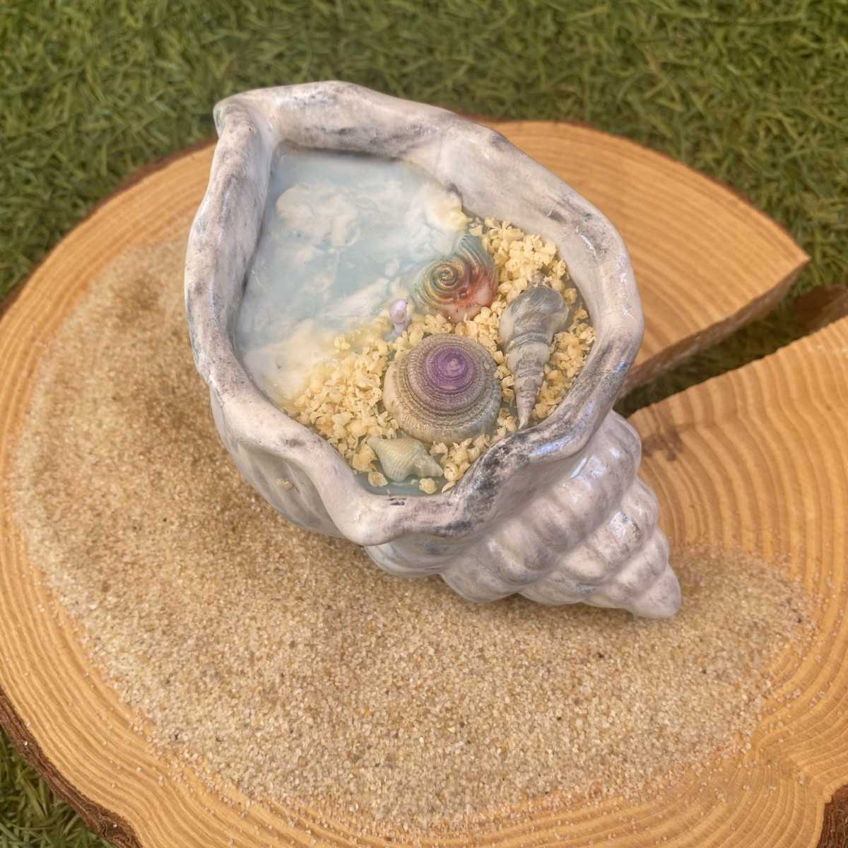 Concha Aloha 2