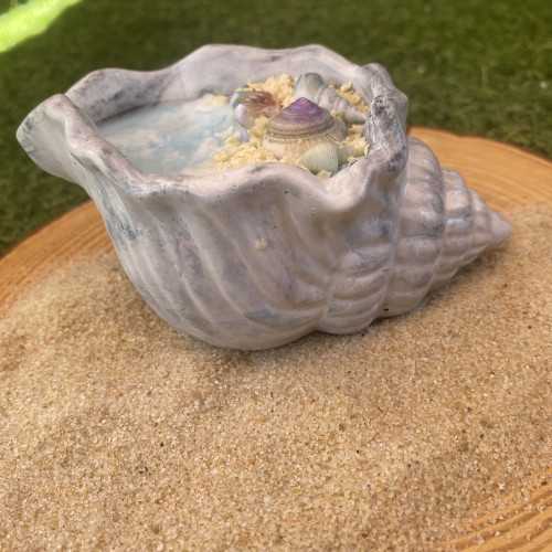 Concha Aloha 2