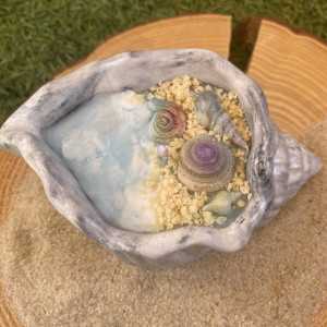 Concha Aloha 2