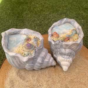 Set conchas aloha