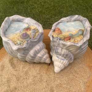 Set conchas aloha