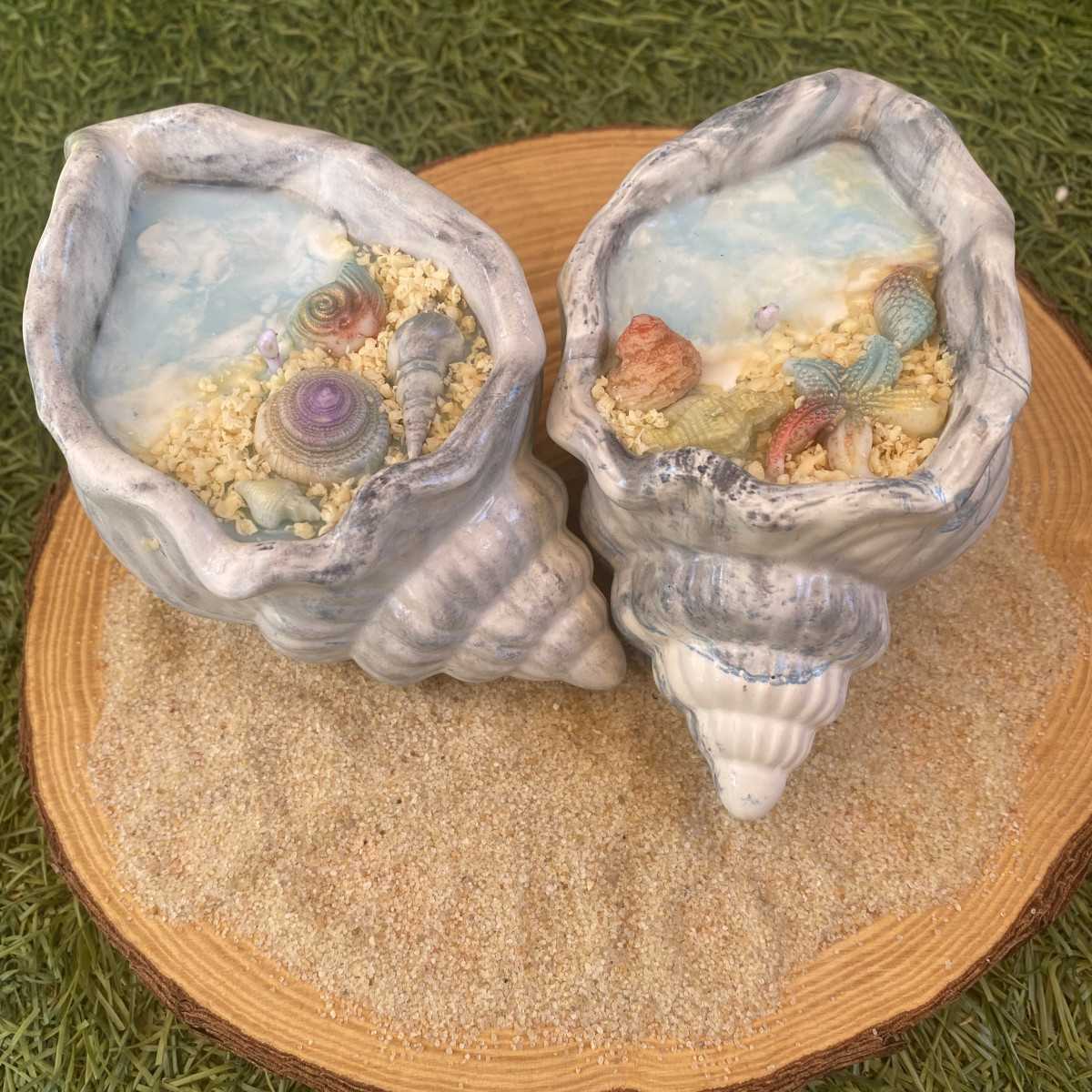 Set conchas aloha