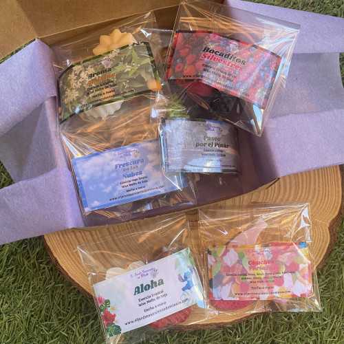 Cajita de Muestras Aromáticas