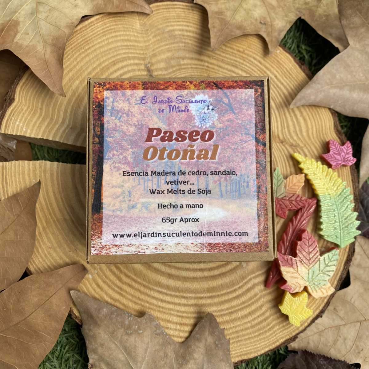 Paseo Otoñal