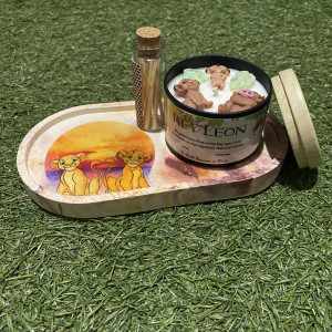 Modelo Ciclo de la Vida