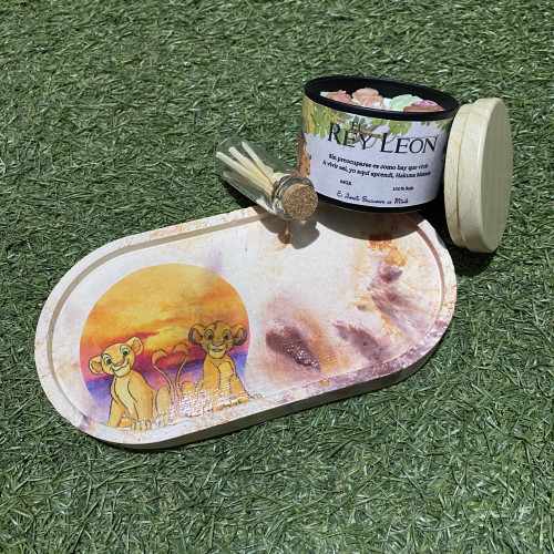 Modelo Ciclo de la Vida