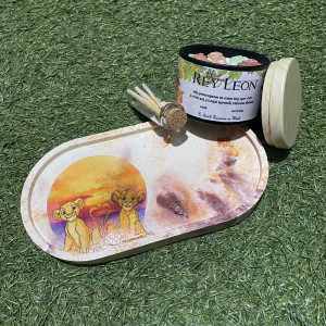 Modelo Ciclo de la Vida