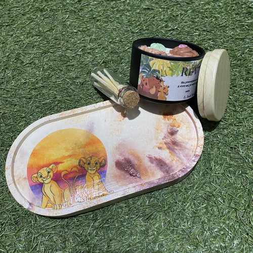 Modelo Ciclo de la Vida