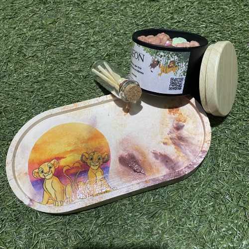 Modelo Ciclo de la Vida