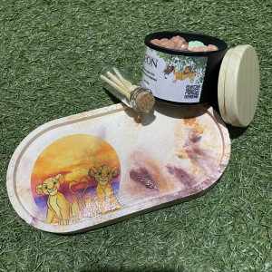 Modelo Ciclo de la Vida