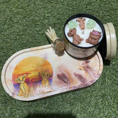 Modelo Ciclo de la Vida