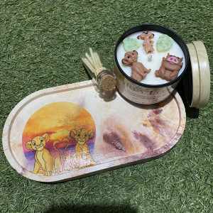 Modelo Ciclo de la Vida