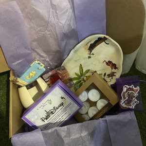 Pack El Libro de la Selva