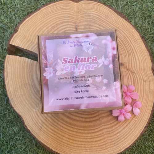 Sakura en Flor