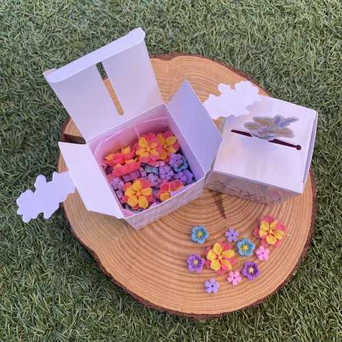Jardin en Miniatura