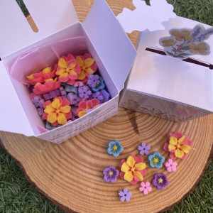 Jardin en Miniatura