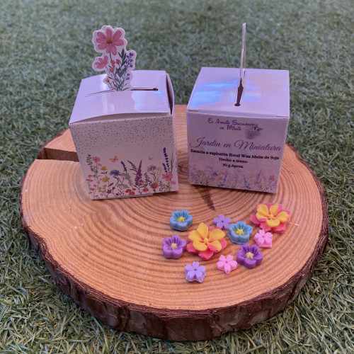 Jardin en Miniatura
