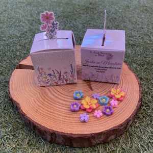 Jardin en Miniatura